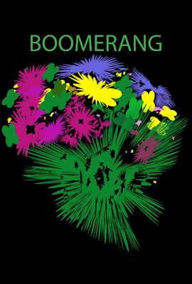 Boomerang
