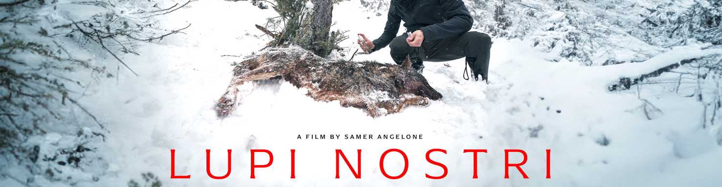 Our Wolves: In a Landscape of Fear and Love